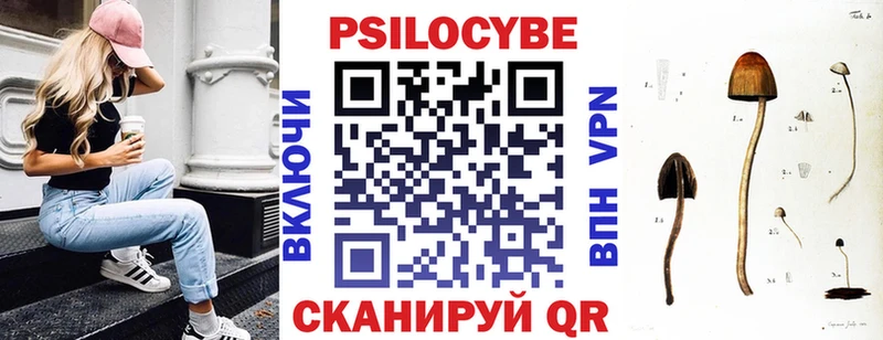 Галлюциногенные грибы Psilocybine cubensis  нарко площадка официальный сайт  Галич 